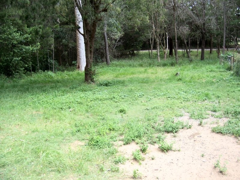 17 NOOGIE ST, Macleay Island QLD 4184