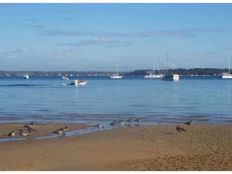 11 Coondooroopa Drive, Macleay Island QLD 4184