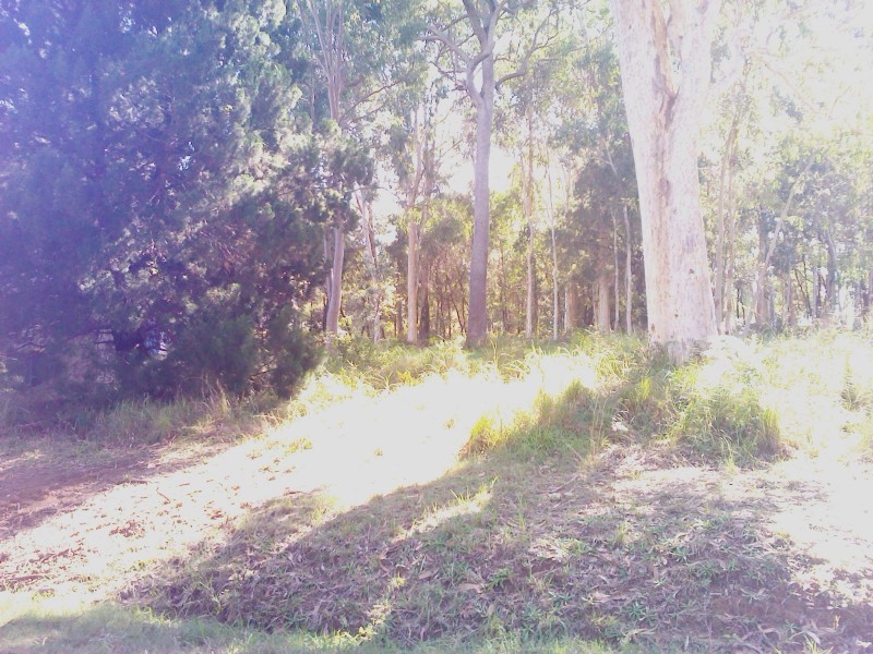 3 MORWONG STREET, Macleay Island QLD 4184