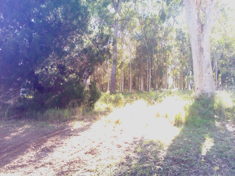 3 MORWONG STREET, Macleay Island QLD 4184