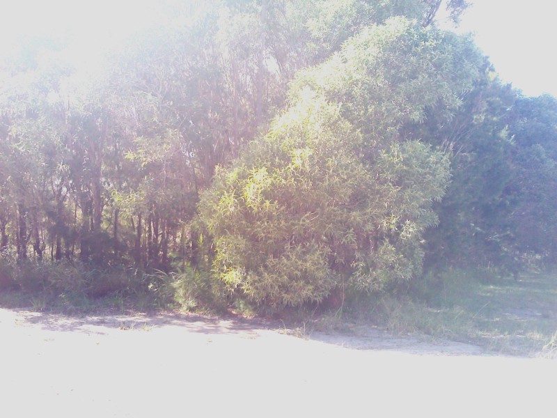 Macleay Island QLD 4184