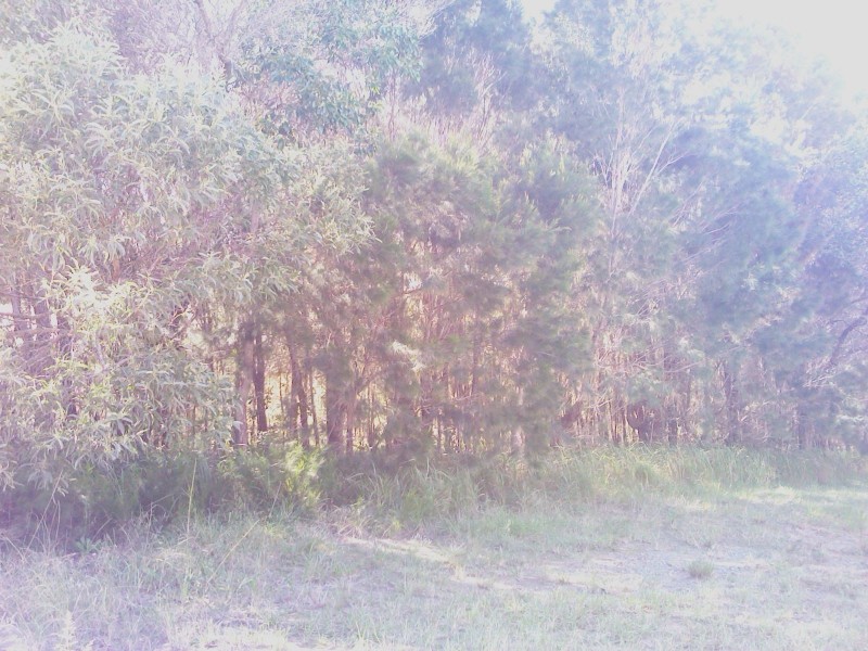 Macleay Island QLD 4184