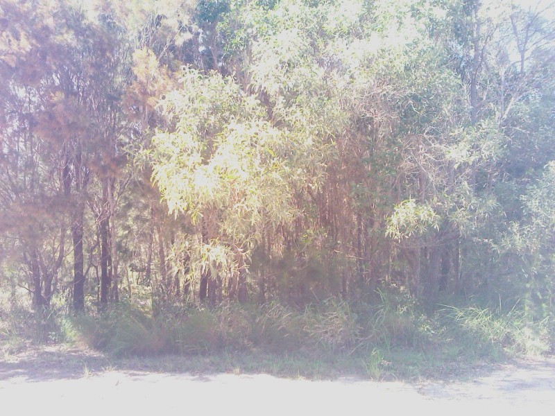 Macleay Island QLD 4184