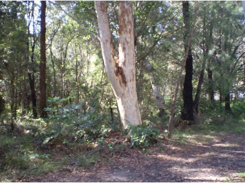 21 NOOGIE, Macleay Island QLD 4184