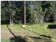 21 DEVANEY ST, Macleay Island QLD 4184