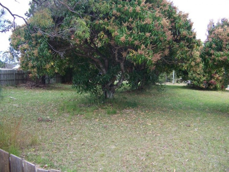 16 Alistair Court, Macleay Island QLD 4184