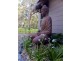 13 Brolga Street, Macleay Island QLD 4184