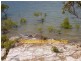 51 Wirralee, Macleay Island QLD 4184
