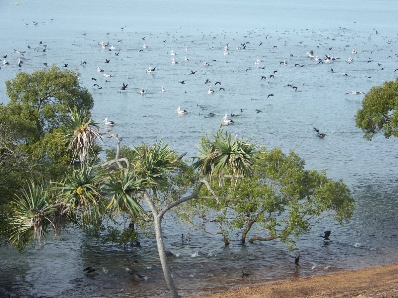 22 Coorong St, Macleay Island QLD 4184