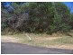 186 LUCAS dr, Lamb Island QLD 4184