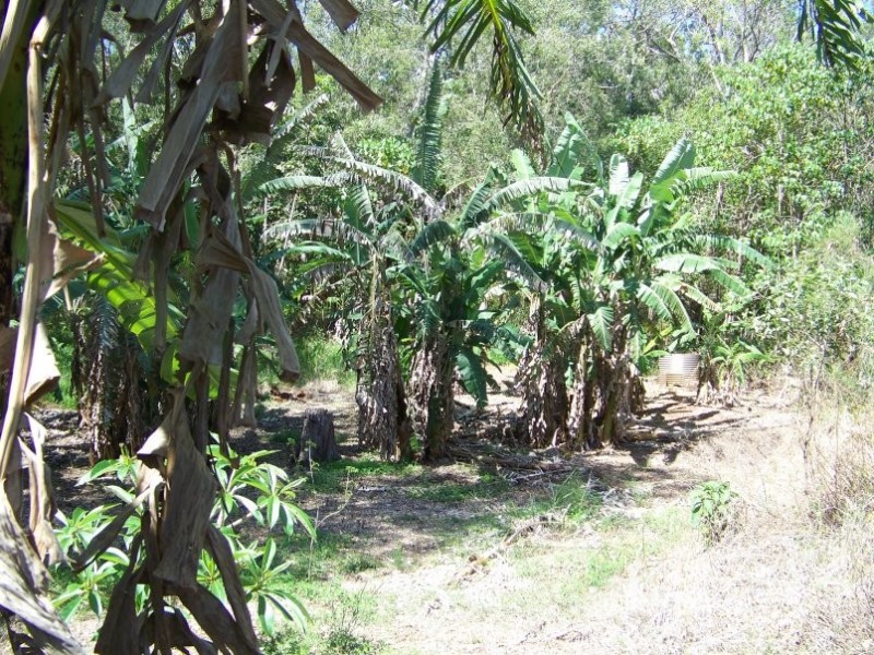 5-9 Barry Street, Macleay Island QLD 4184