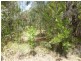 16 ASHTON STREET, Macleay Island QLD 4184