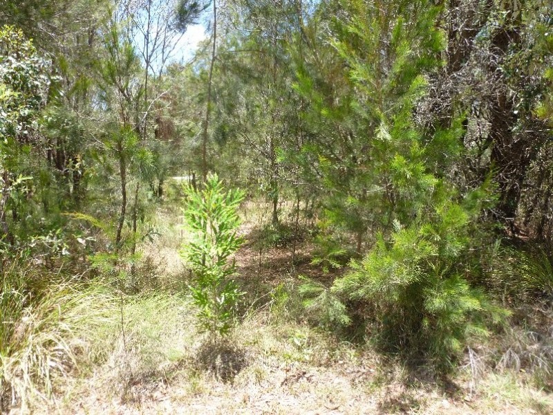 16 ASHTON STREET, Macleay Island QLD 4184