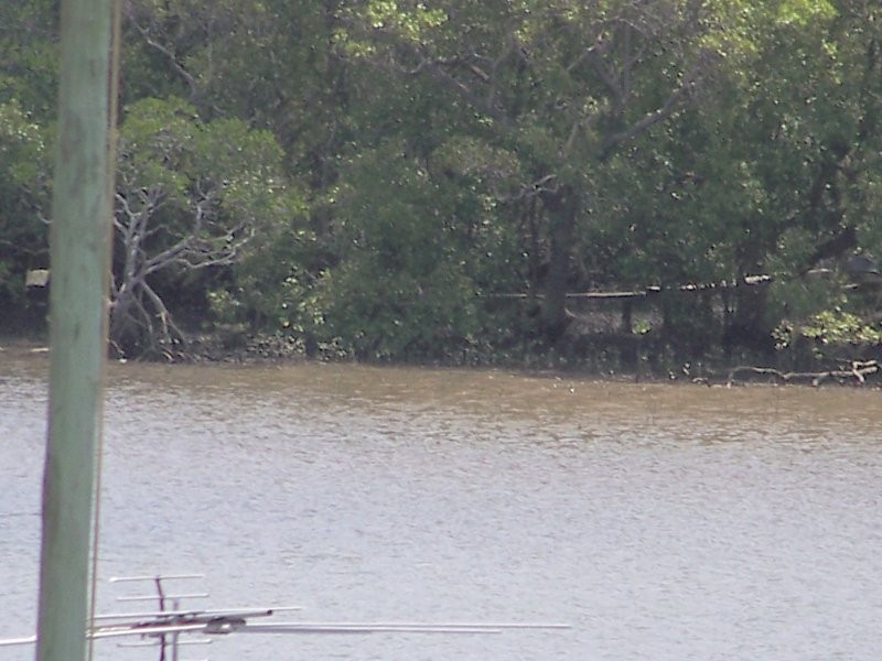 40 CREST HAVEN, Lamb Island QLD 4184