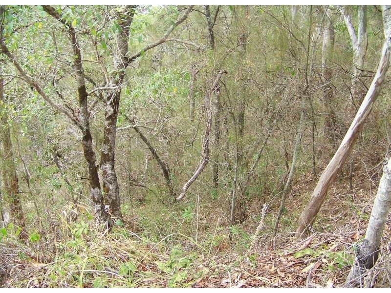 1 PACIFIC ST, Lamb Island QLD 4184