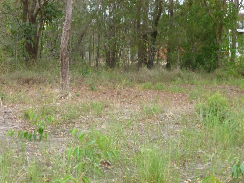 36 CAMENA STREET, Macleay Island QLD 4184