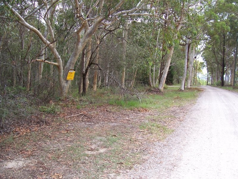 10 PARAKEET ST, Macleay Island QLD 4184