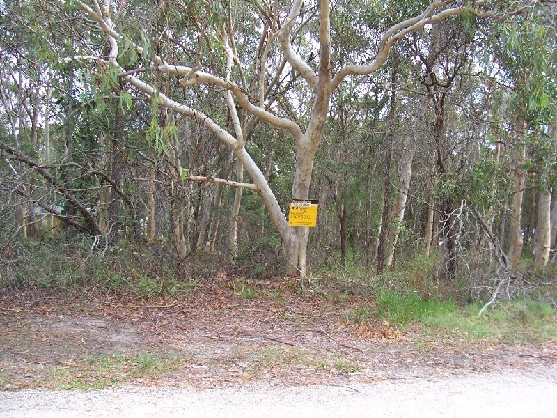 10 PARAKEET ST, Macleay Island QLD 4184
