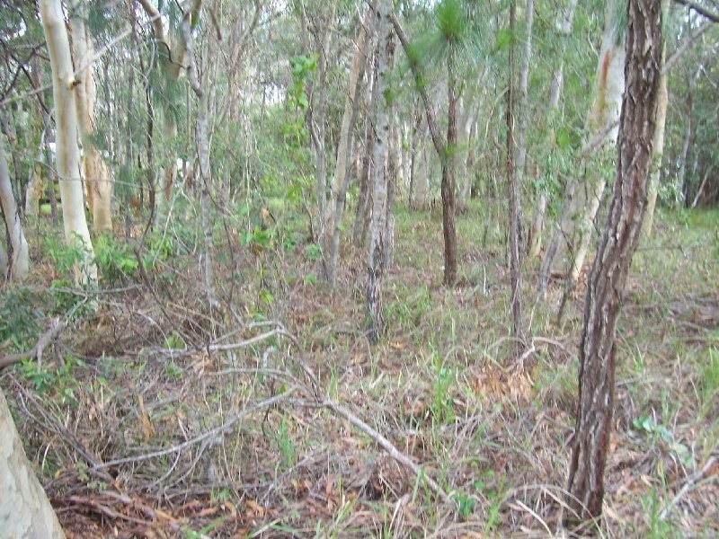 10 PARAKEET ST, Macleay Island QLD 4184