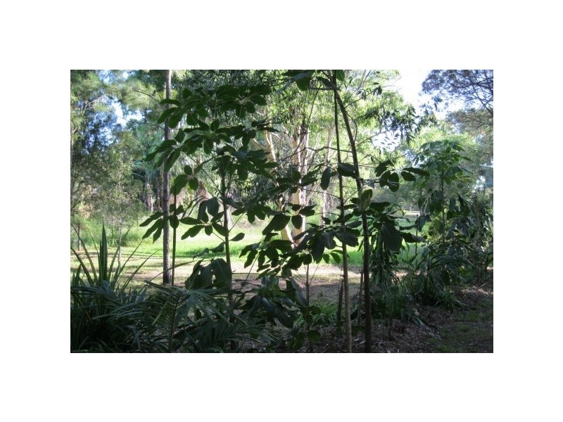 43 Charles Terrace, Macleay Island QLD 4184