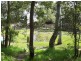 33 COONDOOROOPA DR, Macleay Island QLD 4184