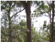 33 COONDOOROOPA DR, Macleay Island QLD 4184