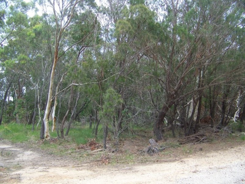 10-12 Mathew Street, Macleay Island QLD 4184