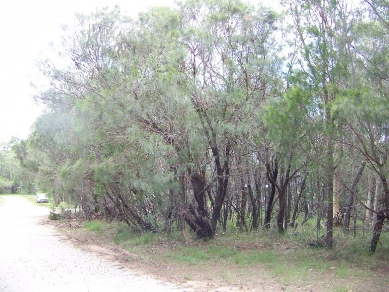 10-12 Mathew Street, Macleay Island QLD 4184