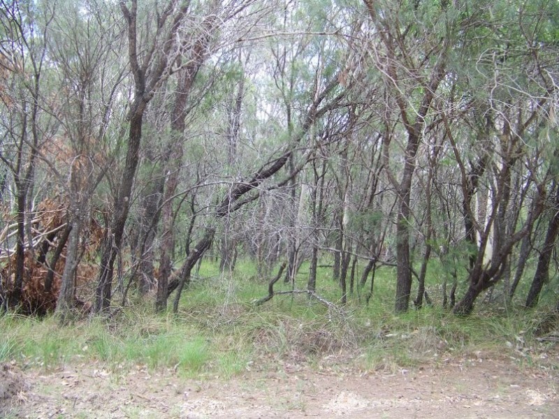 10-12 Mathew Street, Macleay Island QLD 4184