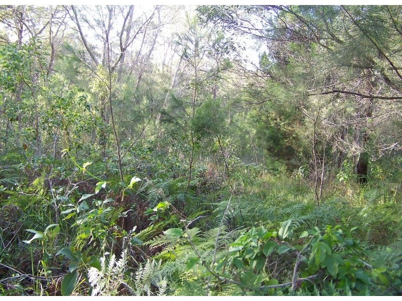 24 PIER HAVEN, Lamb Island QLD 4184