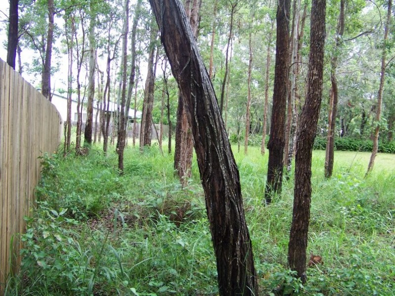 14 FLORA ST, Lamb Island QLD 4184