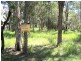 63 COONDOOROOPA DR, Macleay Island QLD 4184