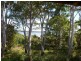 54 CHARLES, Macleay Island QLD 4184