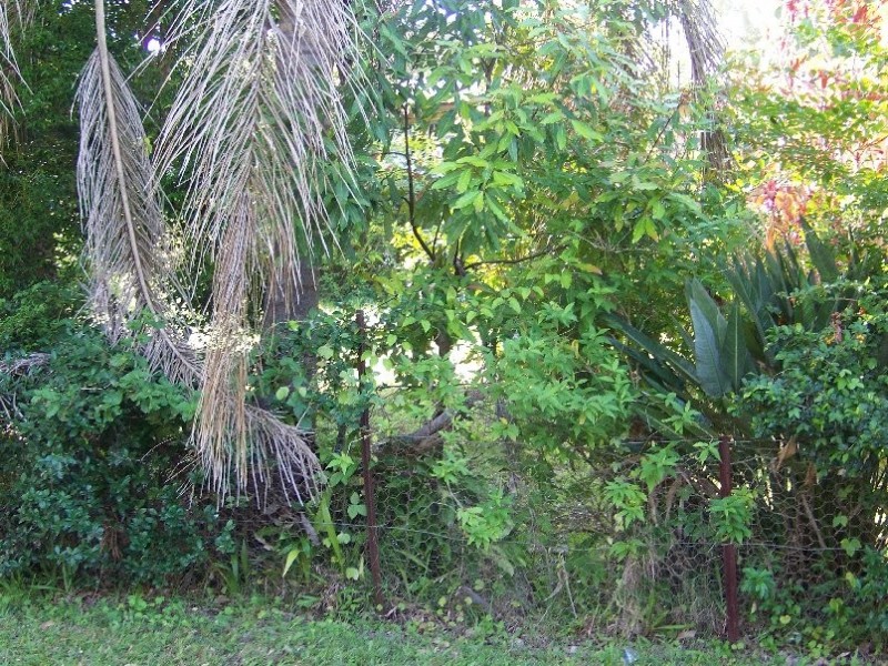135 – 137 LUCAS DR, Lamb Island QLD 4184