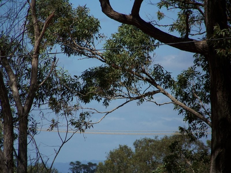 62-64 LUCAS dr, Lamb Island QLD 4184