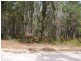 20 PIER HAVEN, Lamb Island QLD 4184