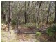 20 PIER HAVEN, Lamb Island QLD 4184
