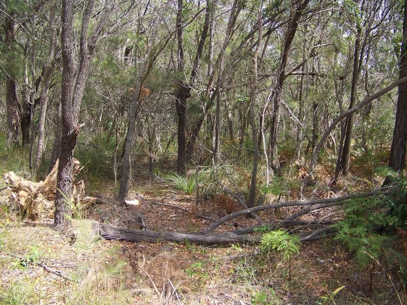 20 PIER HAVEN, Lamb Island QLD 4184