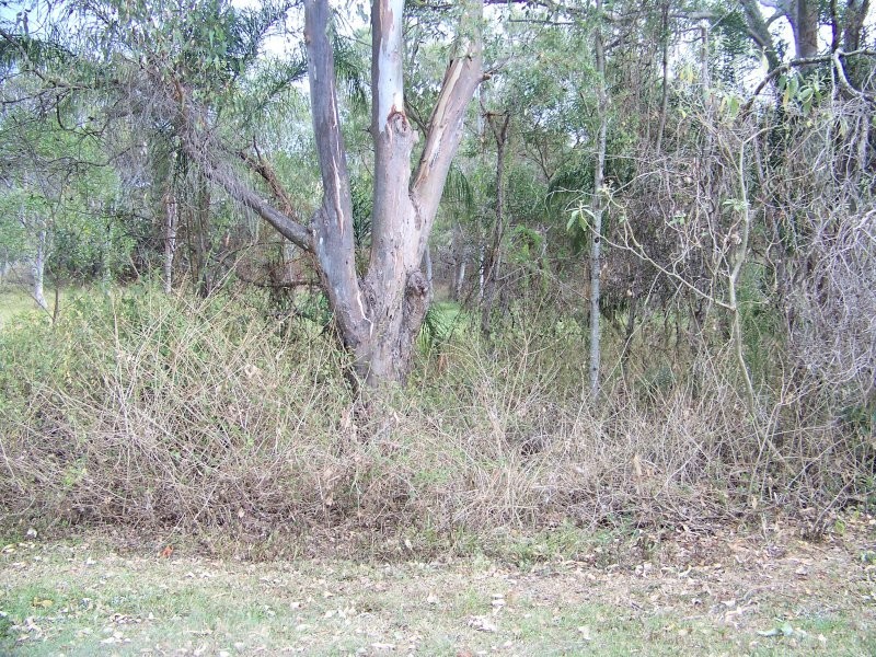 182 LUCAS dr, Lamb Island QLD 4184