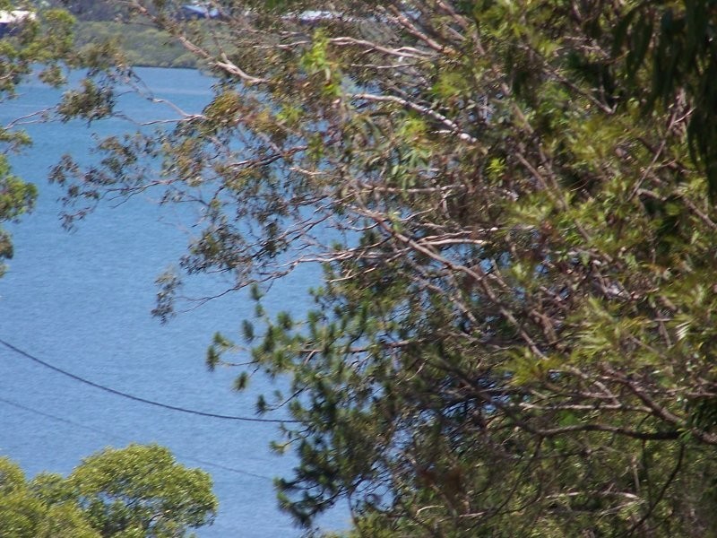 9 PAULA pde, Lamb Island QLD 4184