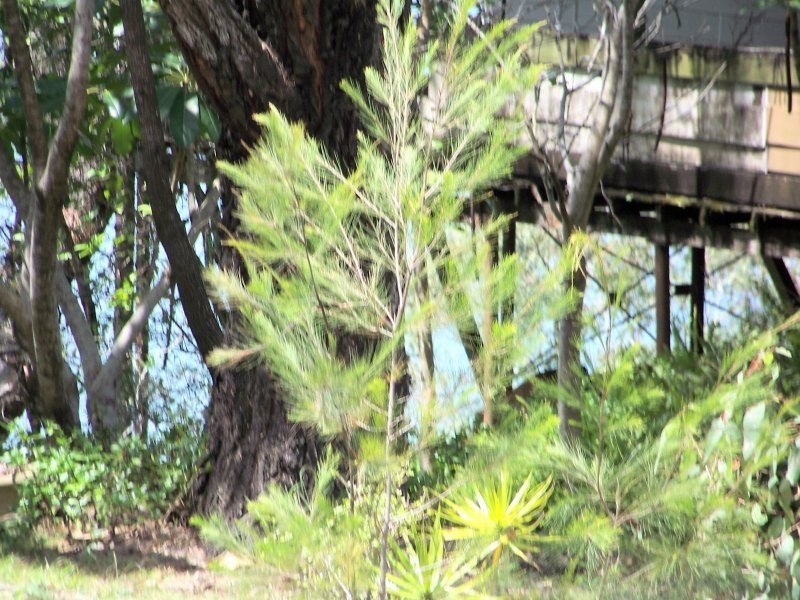 30 – 34 BRUCE ST, Lamb Island QLD 4184