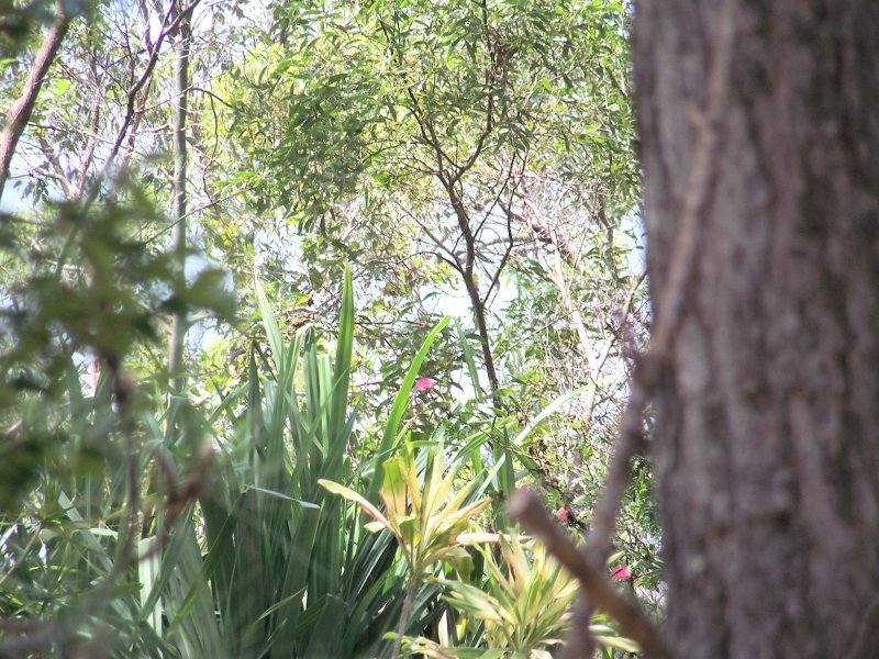 30 – 34 BRUCE ST, Lamb Island QLD 4184