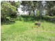 99 PERULPA DR, Lamb Island QLD 4184