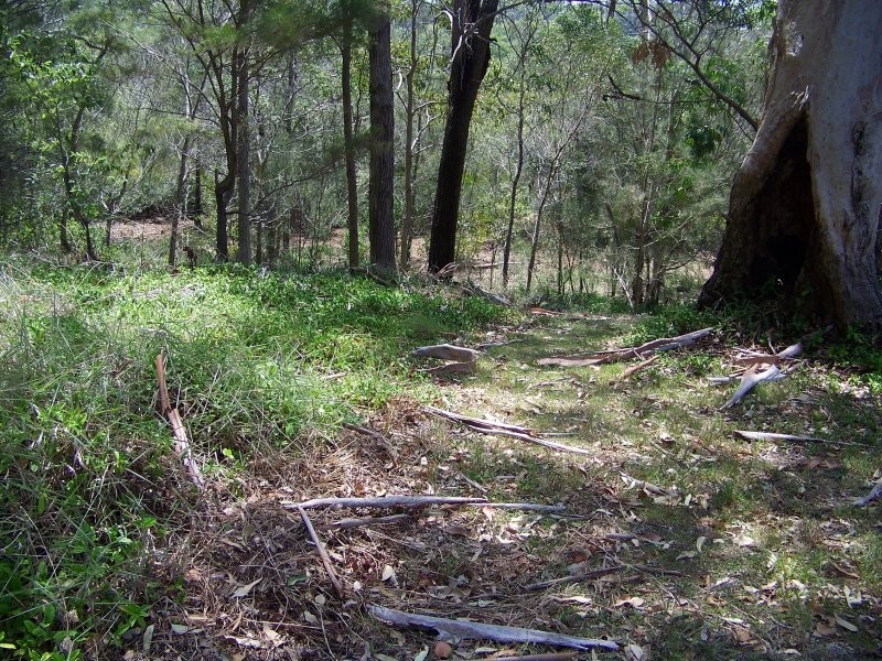 101 PERULPA DR, Lamb Island QLD 4184