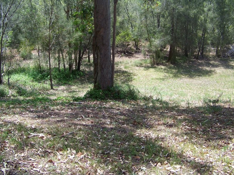 101 PERULPA DR, Lamb Island QLD 4184