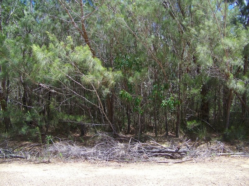 13 BELAR ST, Lamb Island QLD 4184