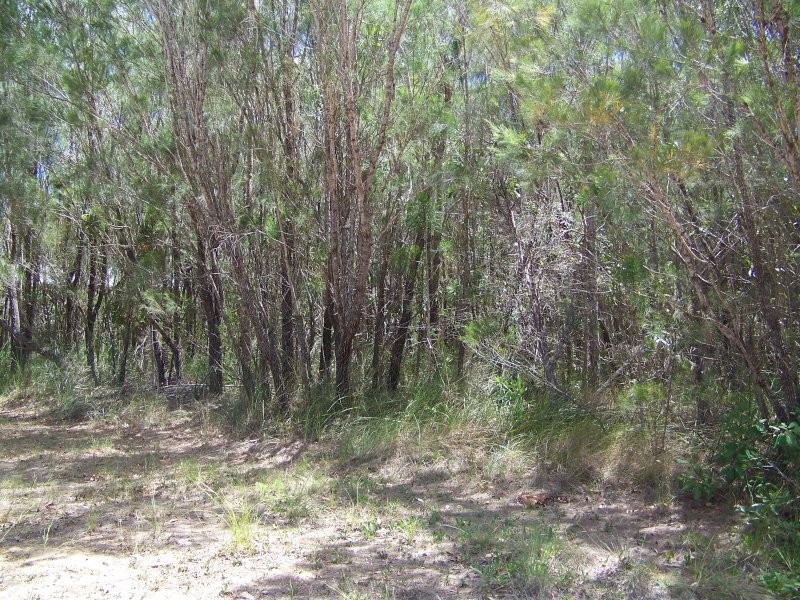 13 BELAR ST, Lamb Island QLD 4184