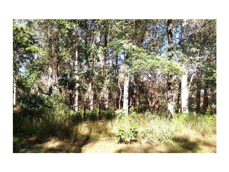 10 Ranora Ave, Russell Island QLD 4184