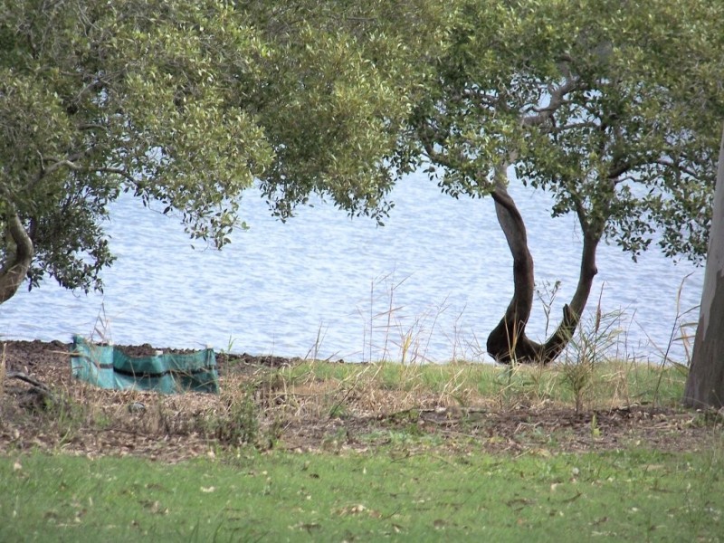 8 EDGEWATER pl, Lamb Island QLD 4184