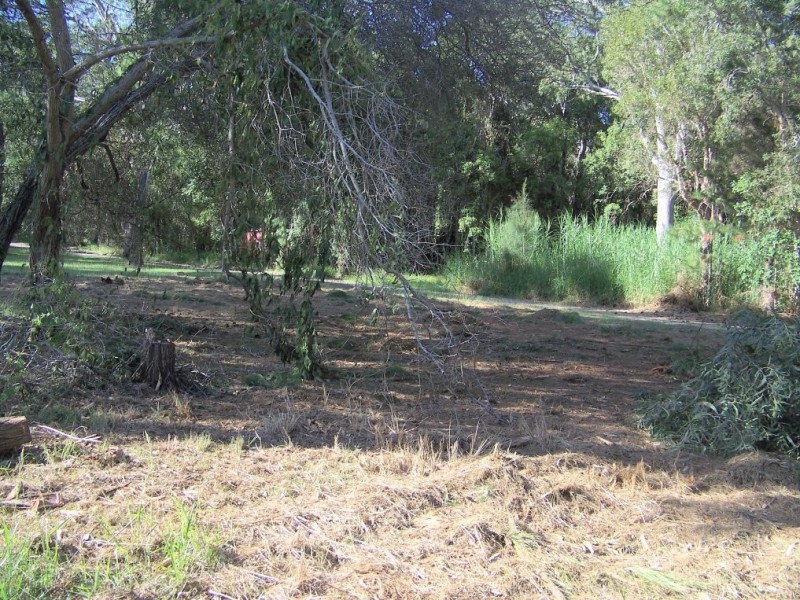 8 EDGEWATER pl, Lamb Island QLD 4184